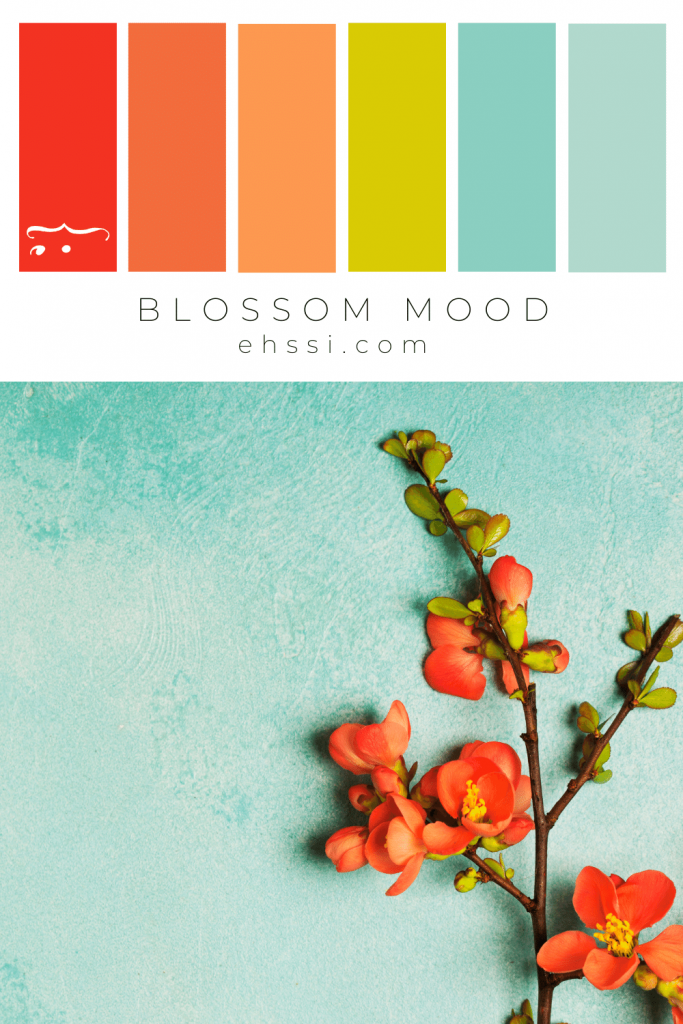 Palette colori Moodboard