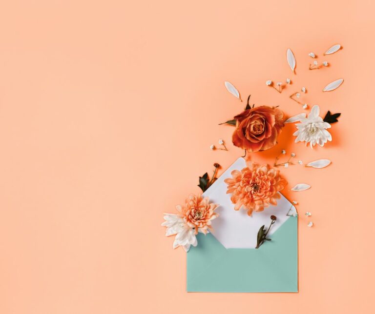 Mia Newsletter