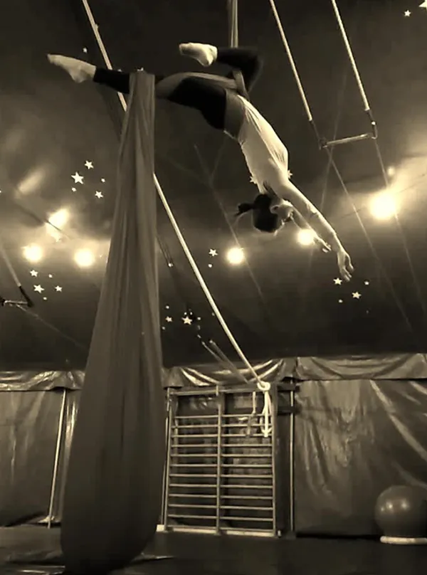 Io prospettive diverse circo