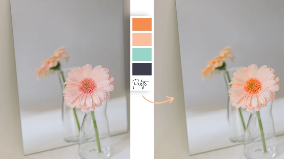 Esempio di immagine in palette rispetto ai colori del brand: confronto prima e dopo